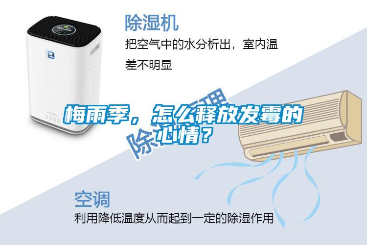 梅雨季，怎么释放发霉的心情？