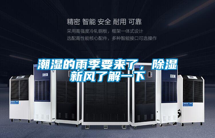 潮湿的雨季要来了，除湿新风了解一下