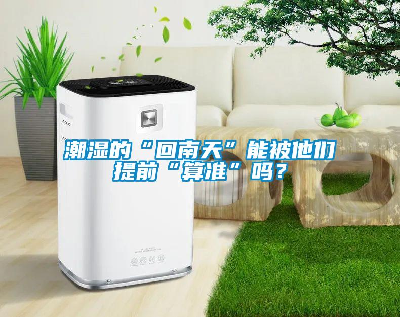 潮湿的“回南天”能被他们提前“算准”吗？