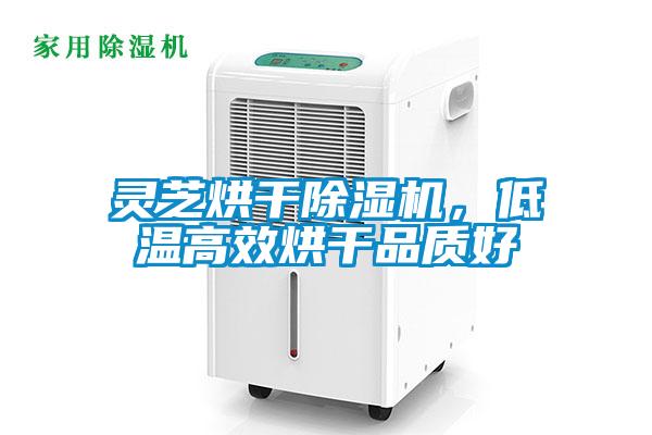 灵芝烘干精品一区二区三区水蜜桃，低温高效烘干品质好