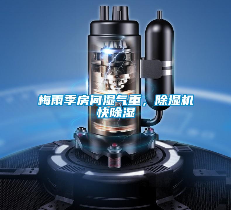 梅雨季房间湿气重，精品一区二区三区水蜜桃快除湿