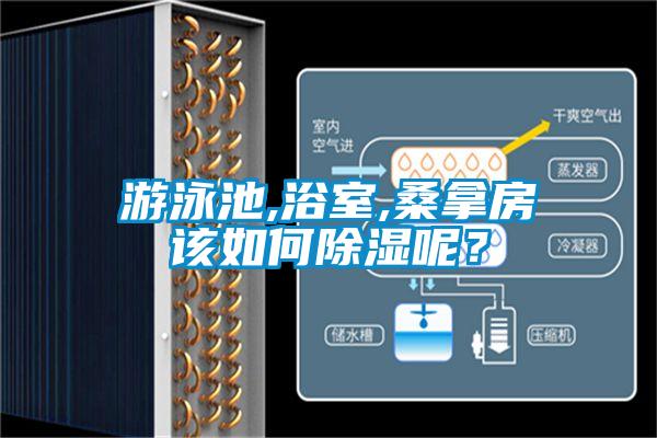 游泳池,浴室,桑拿房该如何除湿呢？