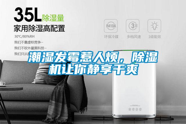 潮湿发霉惹人烦，精品一区二区三区水蜜桃让你静享干爽