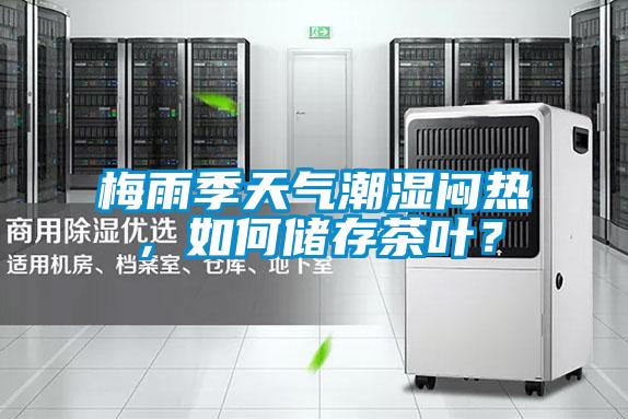 梅雨季天气潮湿闷热，如何储存茶叶？