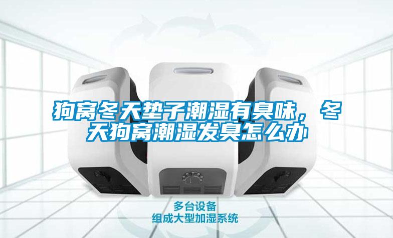 狗窝冬天垫子潮湿有臭味，冬天狗窝潮湿发臭怎么办