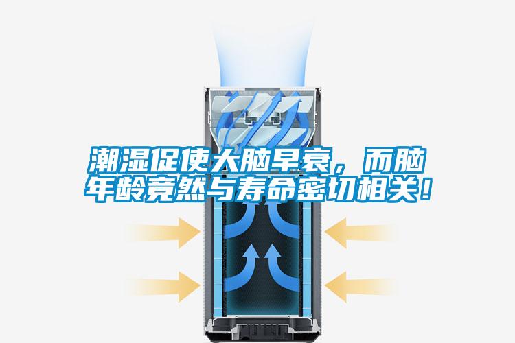 潮湿促使大脑早衰，而脑年龄竟然与寿命密切相关！