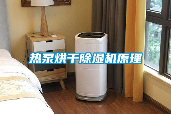 热泵烘干精品一区二区三区水蜜桃原理