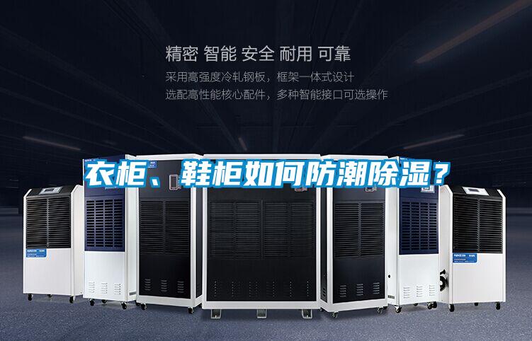 衣柜、鞋柜如何防潮除湿？