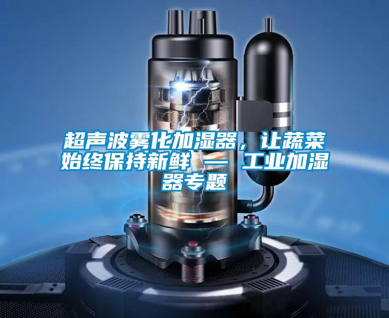 超声波雾化加湿器，让蔬菜始终保持新鲜 — 工业加湿器专题