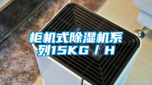 柜机式精品一区二区三区水蜜桃系列15KG/H
