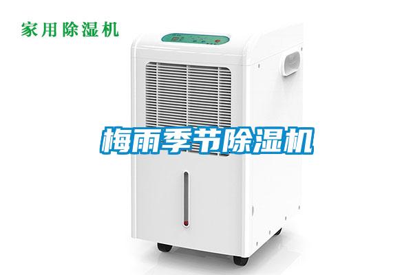 梅雨季节精品一区二区三区水蜜桃