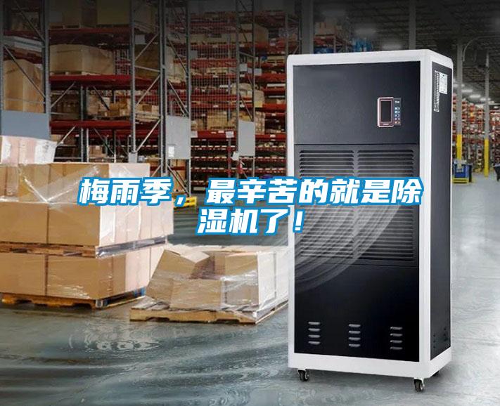 梅雨季，最辛苦的就是精品一区二区三区水蜜桃了！