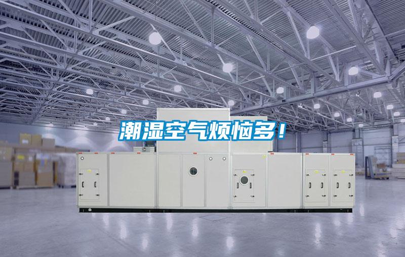 潮湿空气烦恼多！