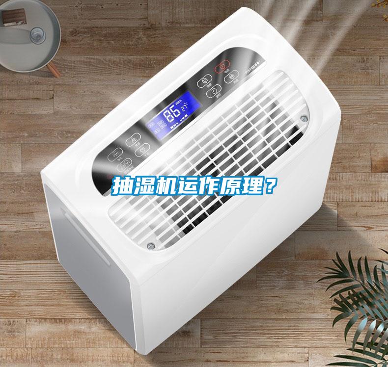 抽湿机运作原理？