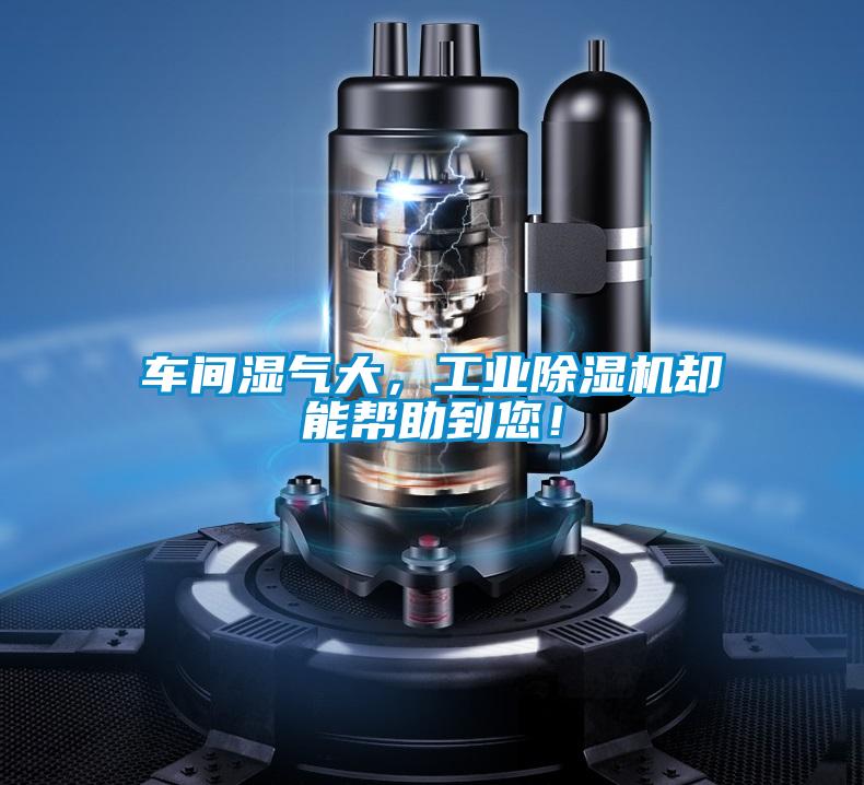 车间湿气大，工业精品一区二区三区水蜜桃却能帮助到您！