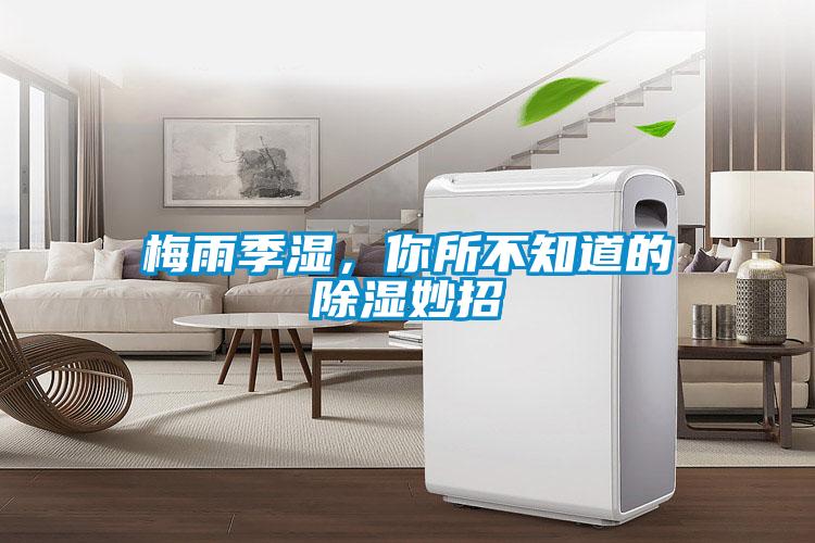 梅雨季湿，你所不知道的除湿妙招