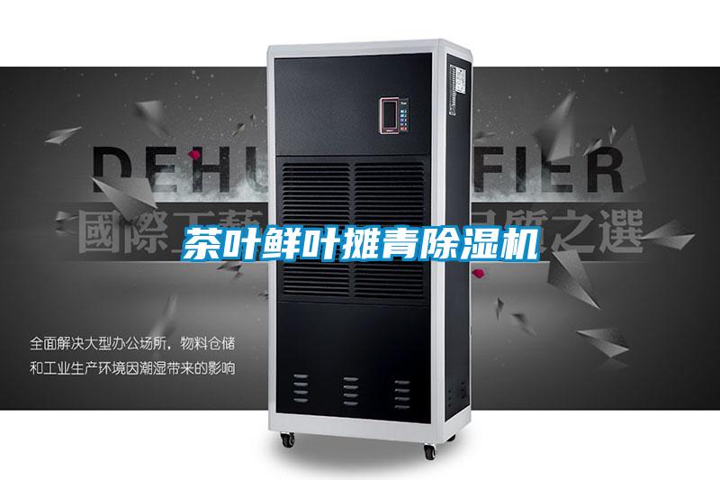 茶叶鲜叶摊青精品一区二区三区水蜜桃