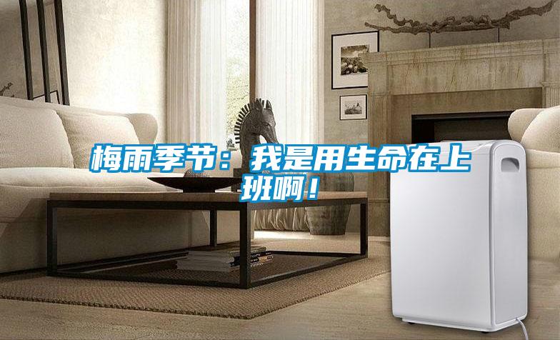 梅雨季节：我是用生命在上班啊！