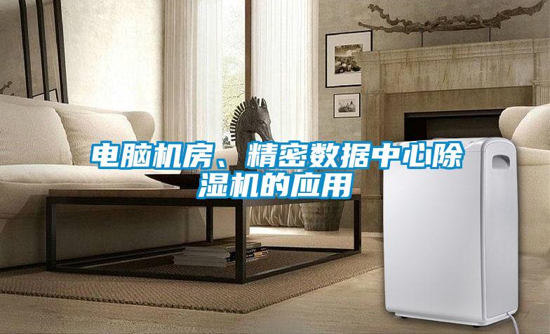 电脑机房、精密数据中心精品一区二区三区水蜜桃的应用