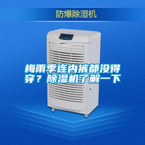 梅雨季连内裤都没得穿？精品一区二区三区水蜜桃了解一下