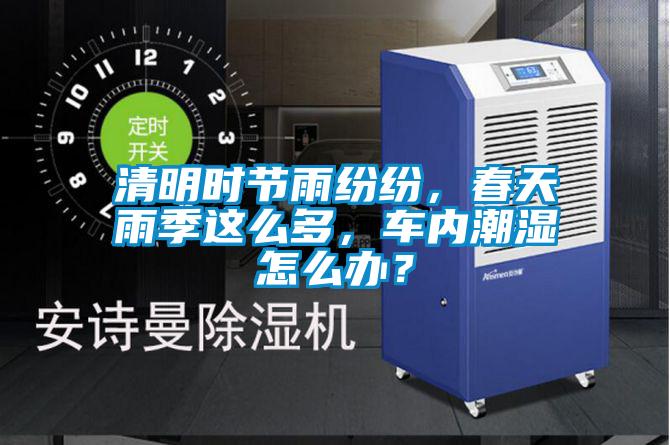 清明时节雨纷纷，春天雨季这么多，车内潮湿怎么办？