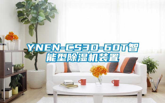 YNEN-CS3D-60T智能型精品一区二区三区水蜜桃装置