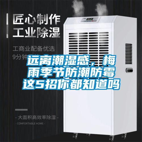 远离潮湿感，梅雨季节防潮防霉这5招你都知道吗