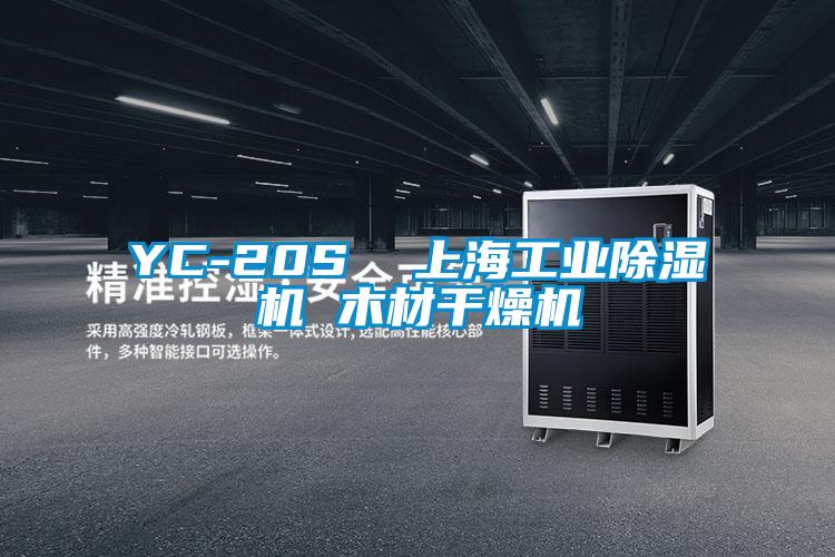 YC-20S 上海工业精品一区二区三区水蜜桃 木材干燥机