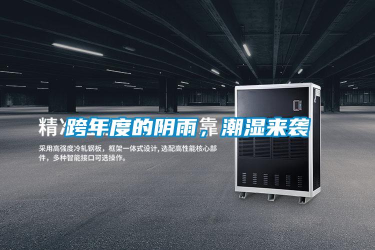 跨年度的阴雨，潮湿来袭