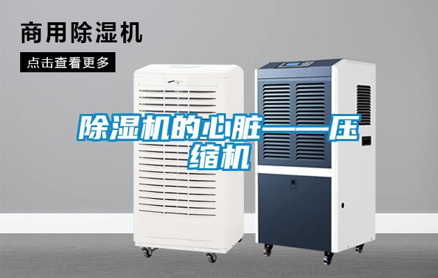 精品一区二区三区水蜜桃的心脏——压缩机