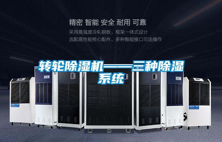 转轮精品一区二区三区水蜜桃——三种除湿系统