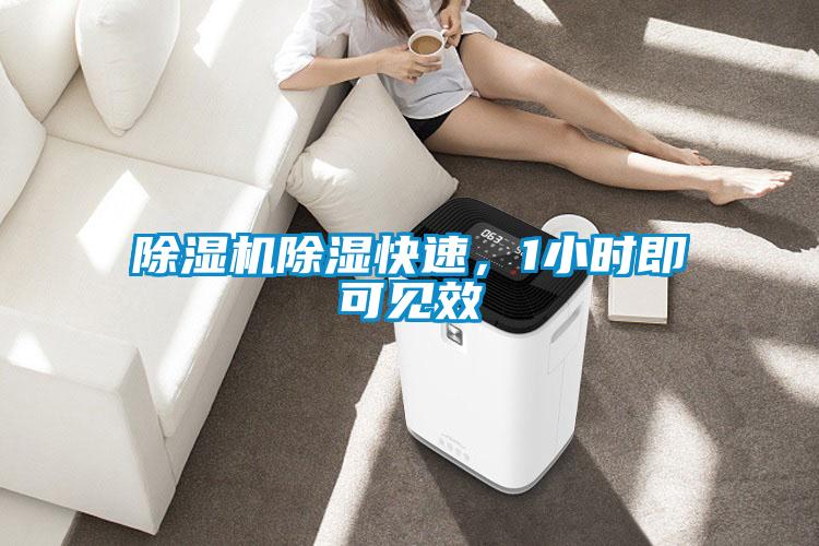 精品一区二区三区水蜜桃除湿快速，1小时即可见效