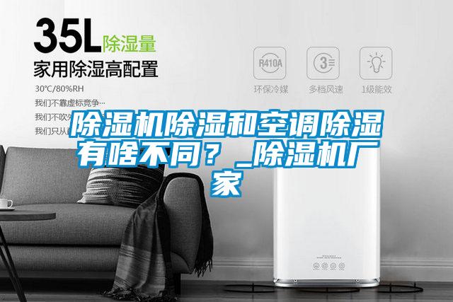 精品一区二区三区水蜜桃除湿和空调除湿有啥不同？_精品一区二区三区水蜜桃厂家