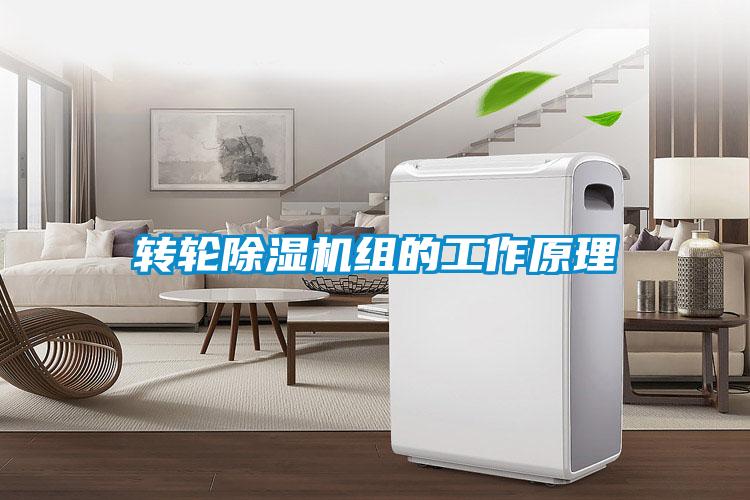 转轮精品一区二区三区水蜜桃组的工作原理