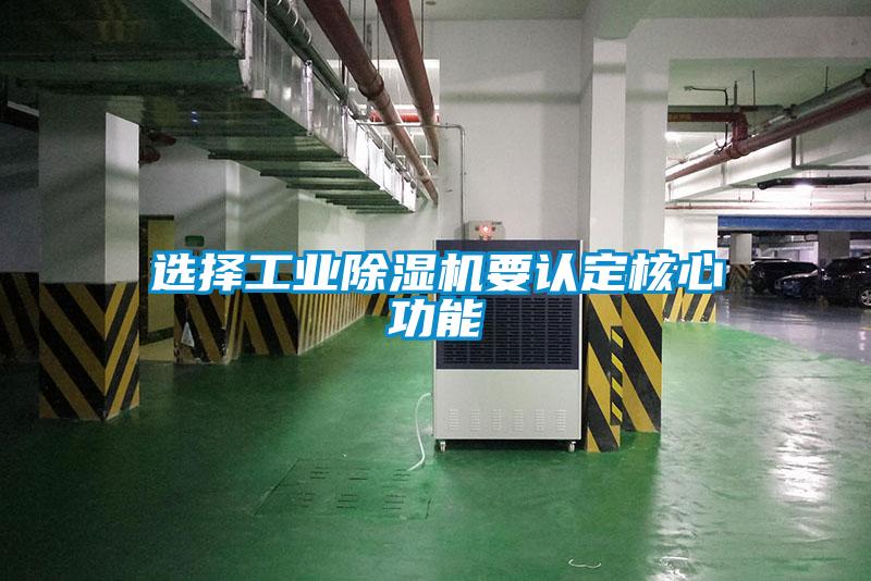 选择工业精品一区二区三区水蜜桃要认定核心功能