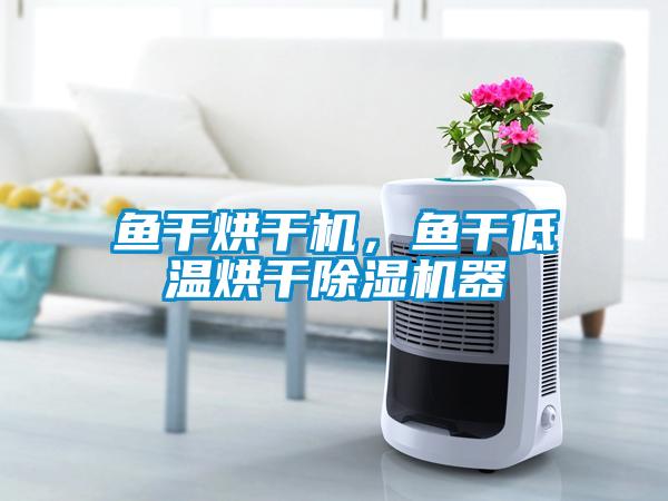 鱼干烘干机，鱼干低温烘干精品一区二区三区水蜜桃器