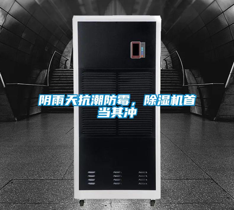 阴雨天抗潮防霉，精品一区二区三区水蜜桃首当其冲