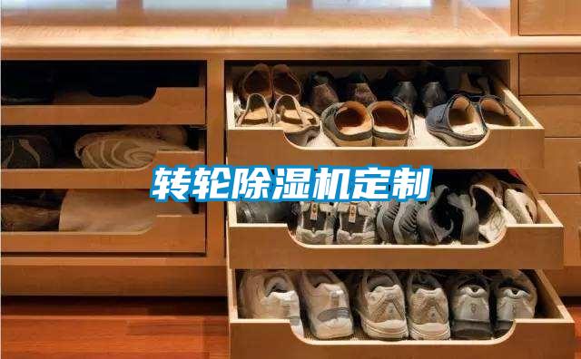 转轮精品一区二区三区水蜜桃定制