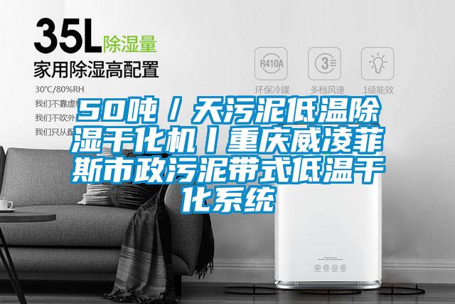 50吨/天污泥低温除湿干化机丨重庆威凌菲斯市政污泥带式低温干化系统