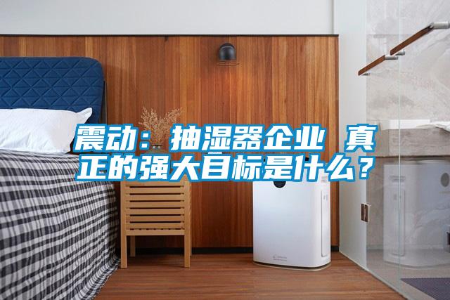 震动：抽湿器企业 真正的强大目标是什么？