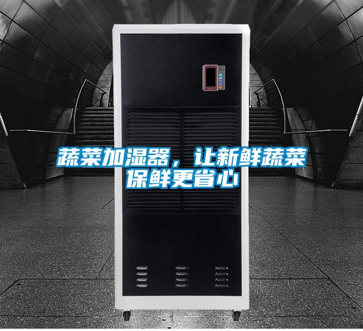 蔬菜加湿器，让新鲜蔬菜保鲜更省心