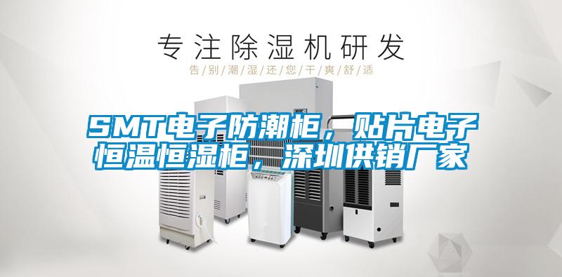 SMT电子防潮柜，贴片电子恒温恒湿柜，深圳供销厂家