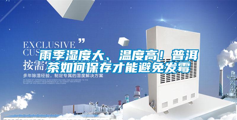 雨季湿度大、温度高！普洱茶如何保存才能避免发霉