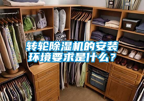 转轮精品一区二区三区水蜜桃的安装环境要求是什么？