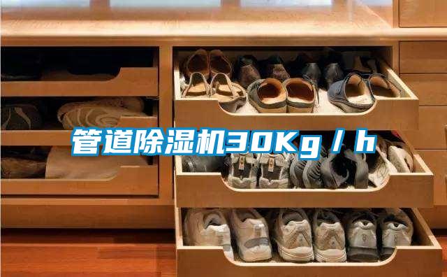 管道精品一区二区三区水蜜桃30Kg/h