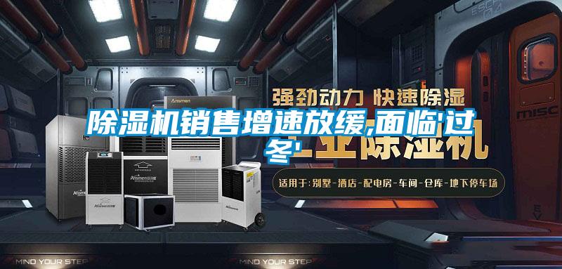 精品一区二区三区水蜜桃销售增速放缓,面临'过冬'