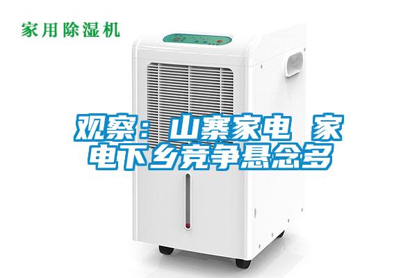 观察：山寨家电 家电下乡竞争悬念多