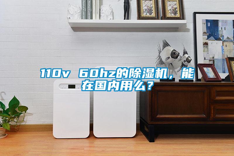 110v 60hz的精品一区二区三区水蜜桃，能在国内用么？