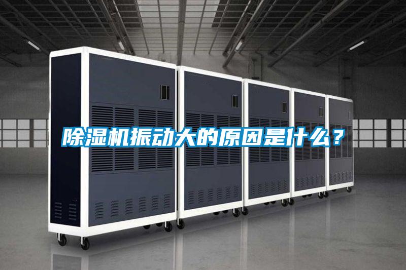 精品一区二区三区水蜜桃振动大的原因是什么？