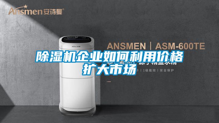 精品一区二区三区水蜜桃企业如何利用价格扩大市场